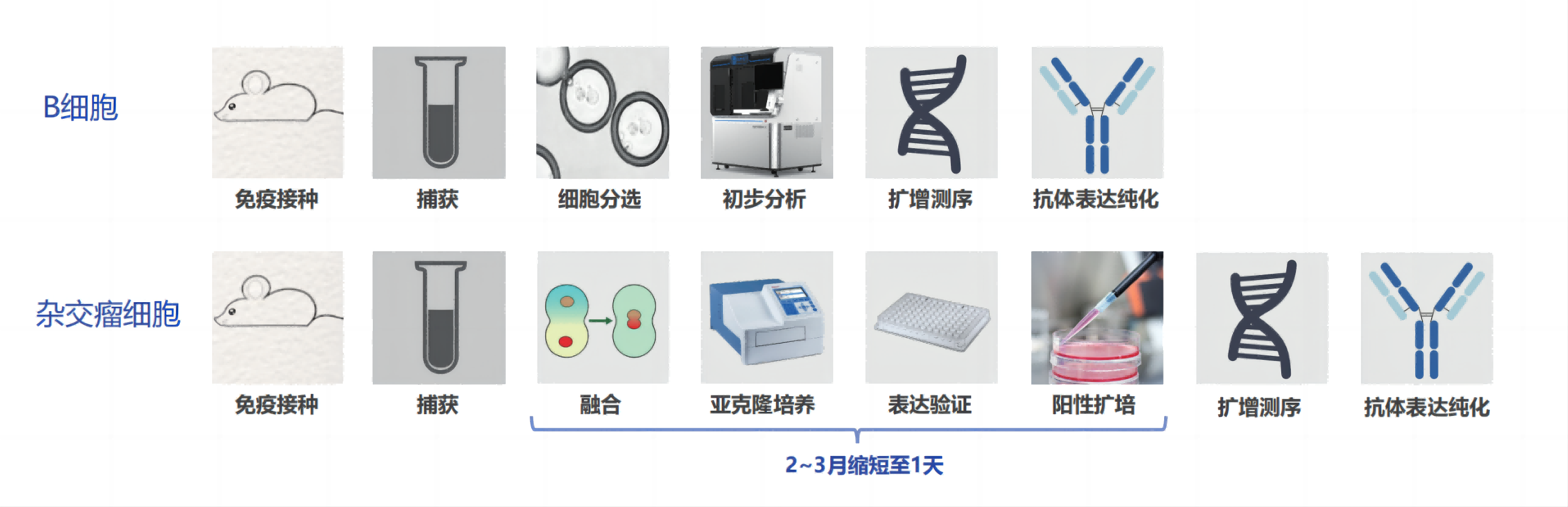 light workbench配图(1)(1).png